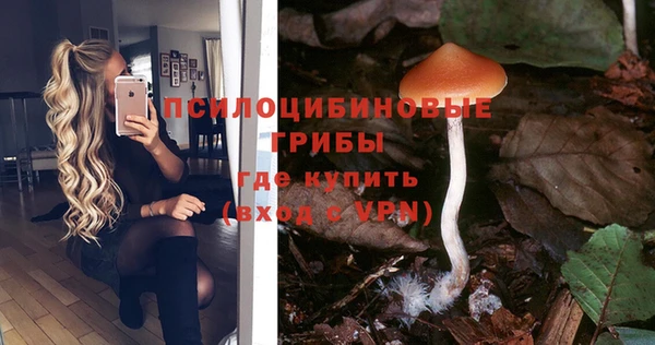 дмт Армянск