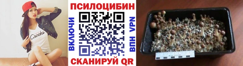 Галлюциногенные грибы прущие грибы  Тобольск 