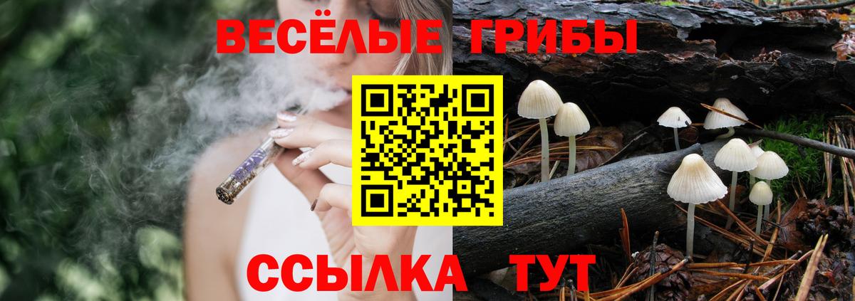Галлюциногенные грибы GOLDEN TEACHER Тобольск